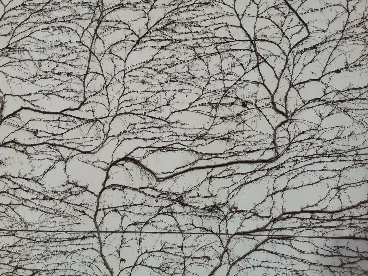 养生食品里面添加伟哥，漂白鸡爪，鸭肉冒充牛肉……为了挣钱，可以无所不用其极，让人