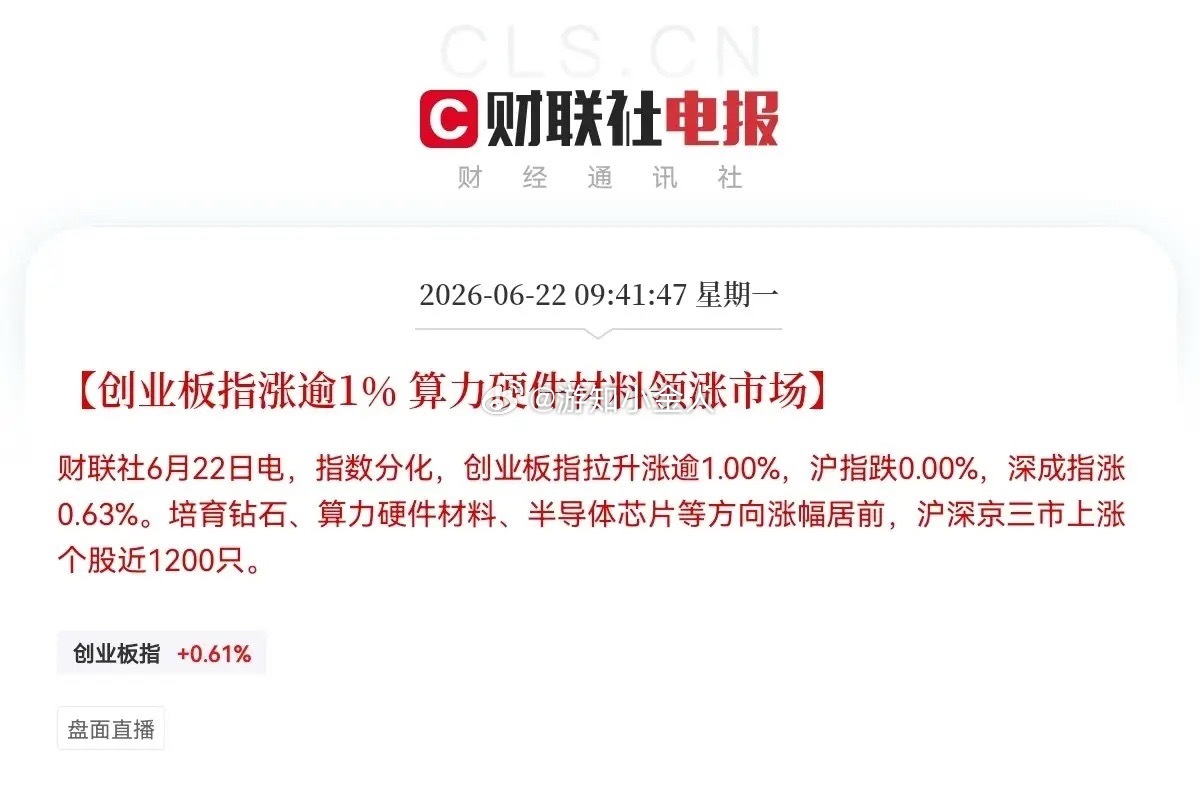 给操盘手加大鸡腿吧…万万没有想到，再大的利空都已经干扰不了科技股的向上趋势了，满