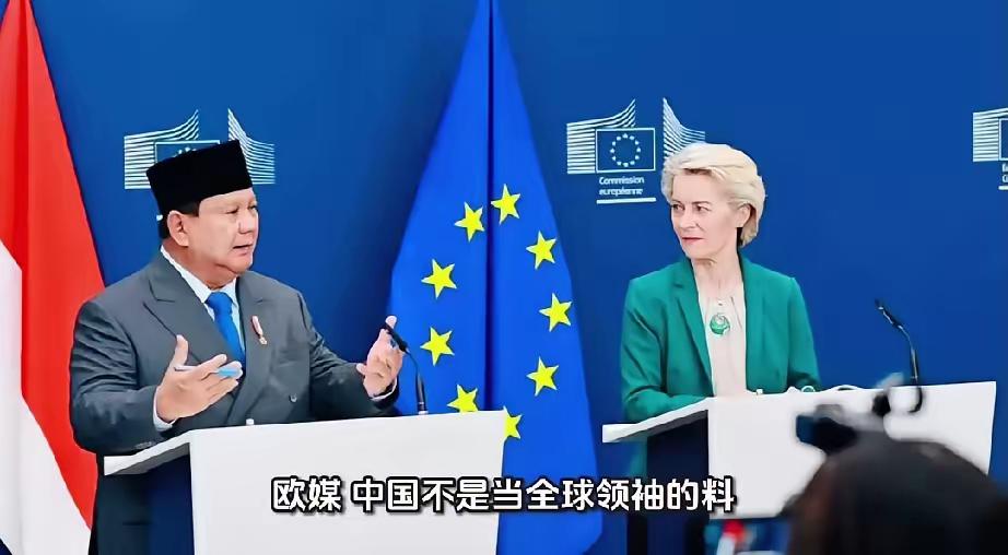 欧媒：中国不是当全球领袖的料，印尼比中国靠谱，欧洲应力挺印尼！

最近瑞士的一个