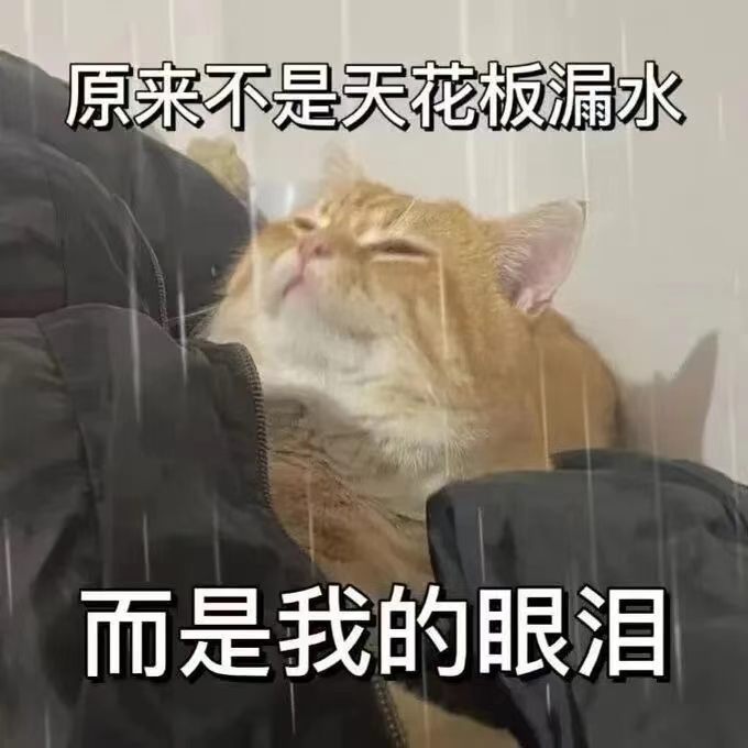 迪丽热巴 你们🥺你们心里🥺你们心里还有我的位置嘛🥺不要忘记我，不要冷暴力我