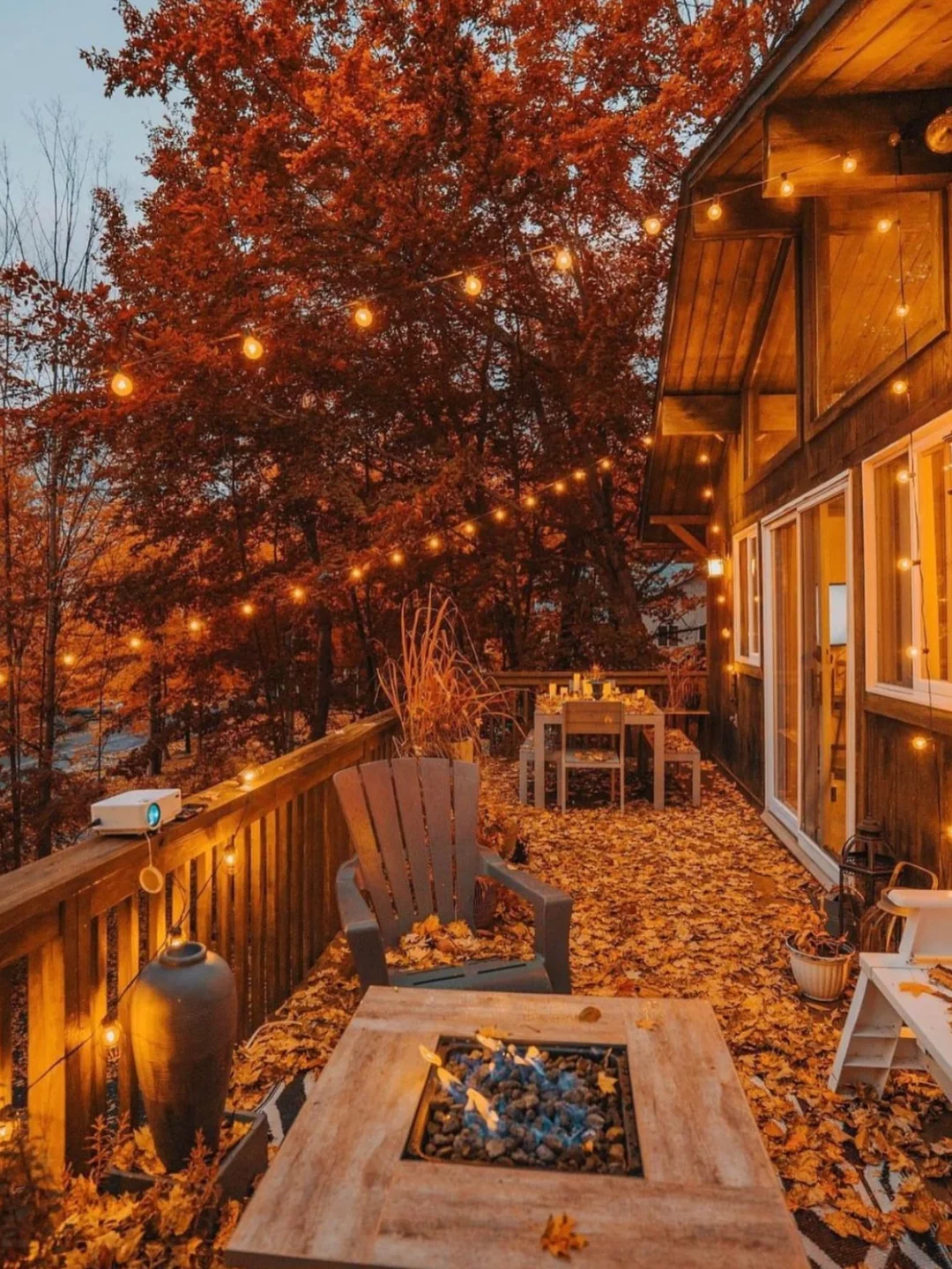 美国逃离城市计划🍁森林精灵木屋 梦幻浪漫