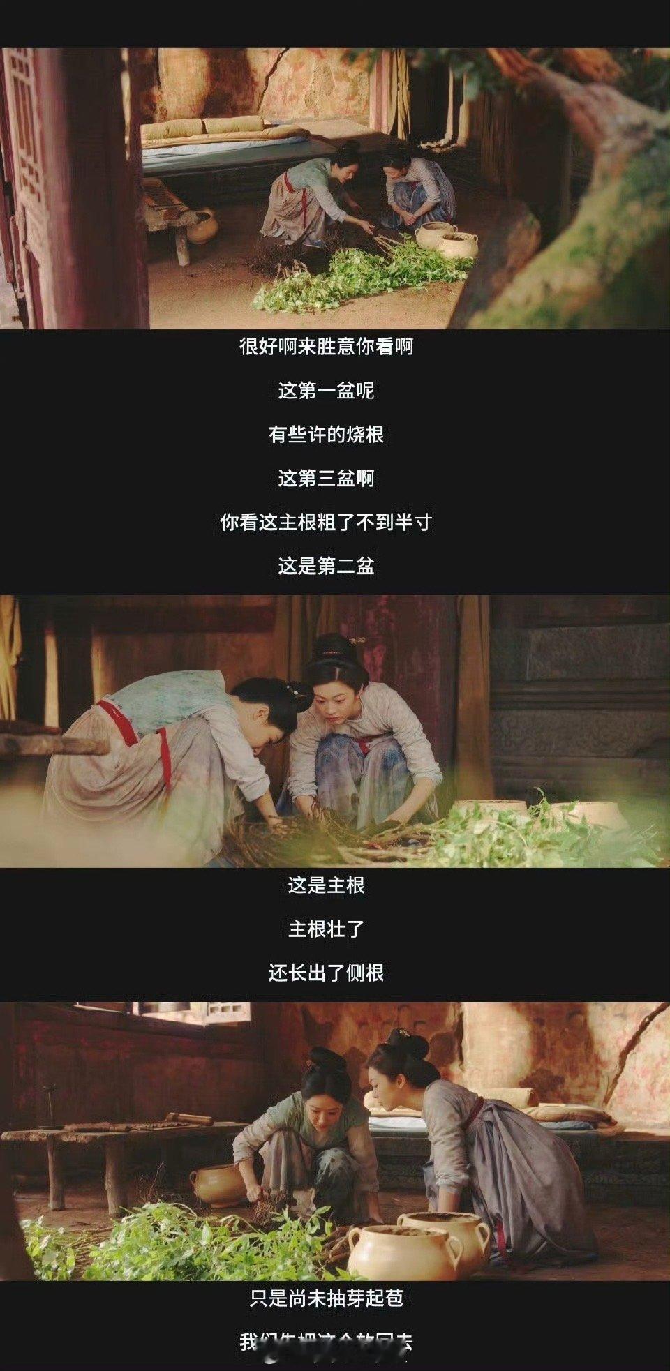 国色芳华有自己的开心农场 看到这里真的不断感慨啊，真的太棒了诶，我们国色芳华有自