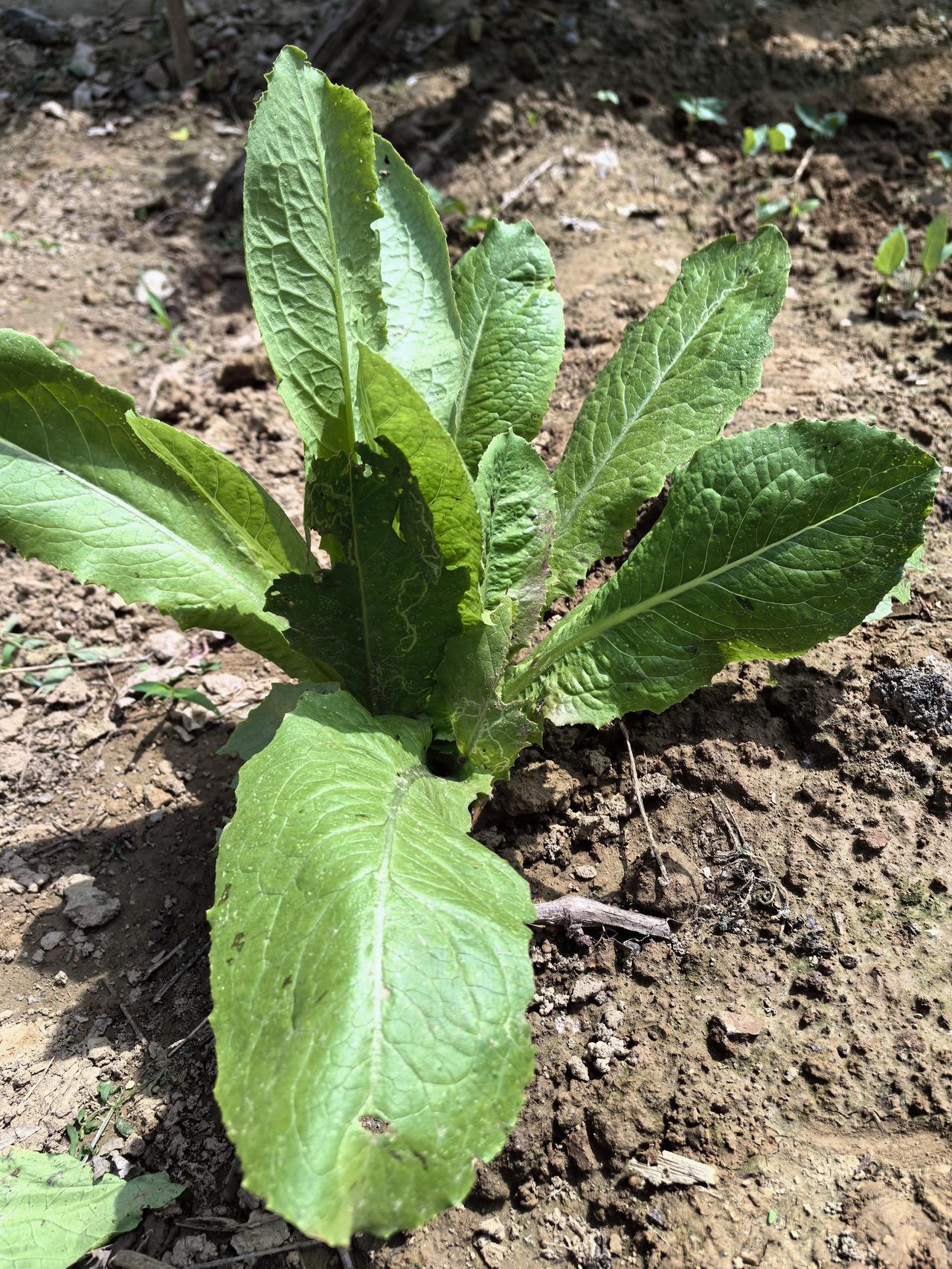你现在买彩票一直不中，本身就是最真实的信号：赶紧停，再也别买了。
 
我给你掏心