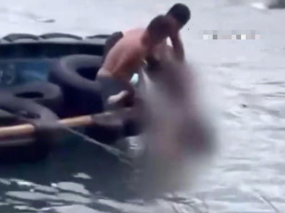 #香港父母带子女观浪坠海被起诉#【香港女子去年台风天带子女观浪坠海，被起诉！一度