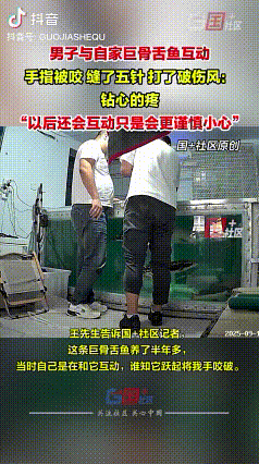 “下次还玩”

9月11日，山东并州一名男子在家跟自己养的一条巨骨舌鱼互动时，被
