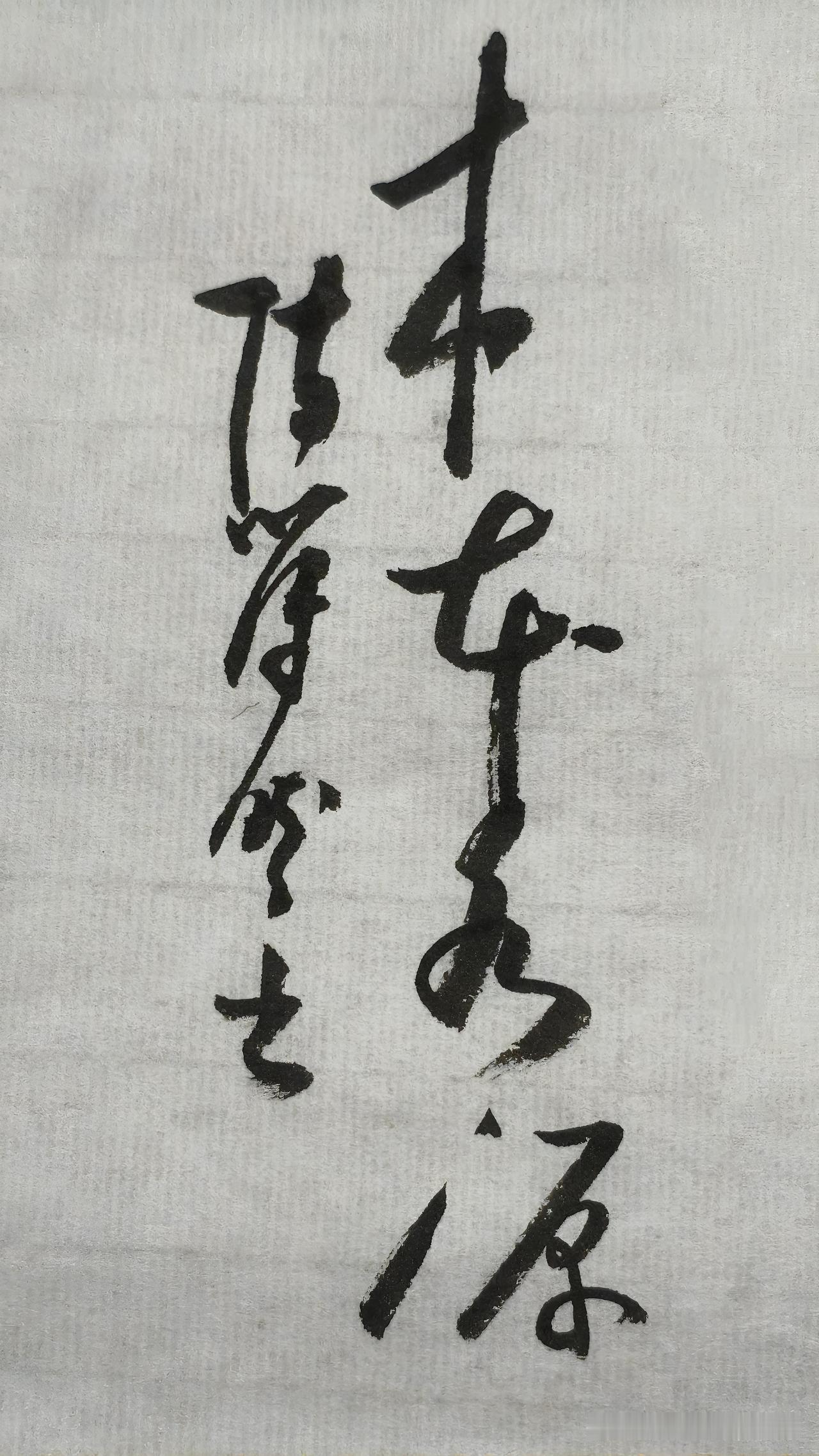 草书精品展示：木本水源