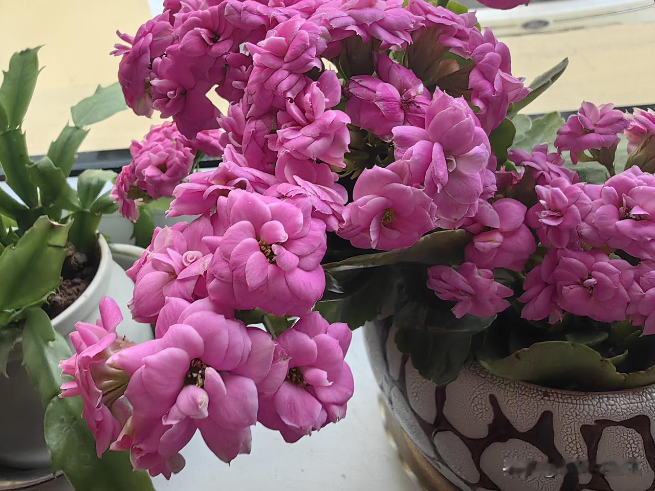 是的。我都有记忆，为了帮助父母，为了弟弟妹妹，早早就当家了。