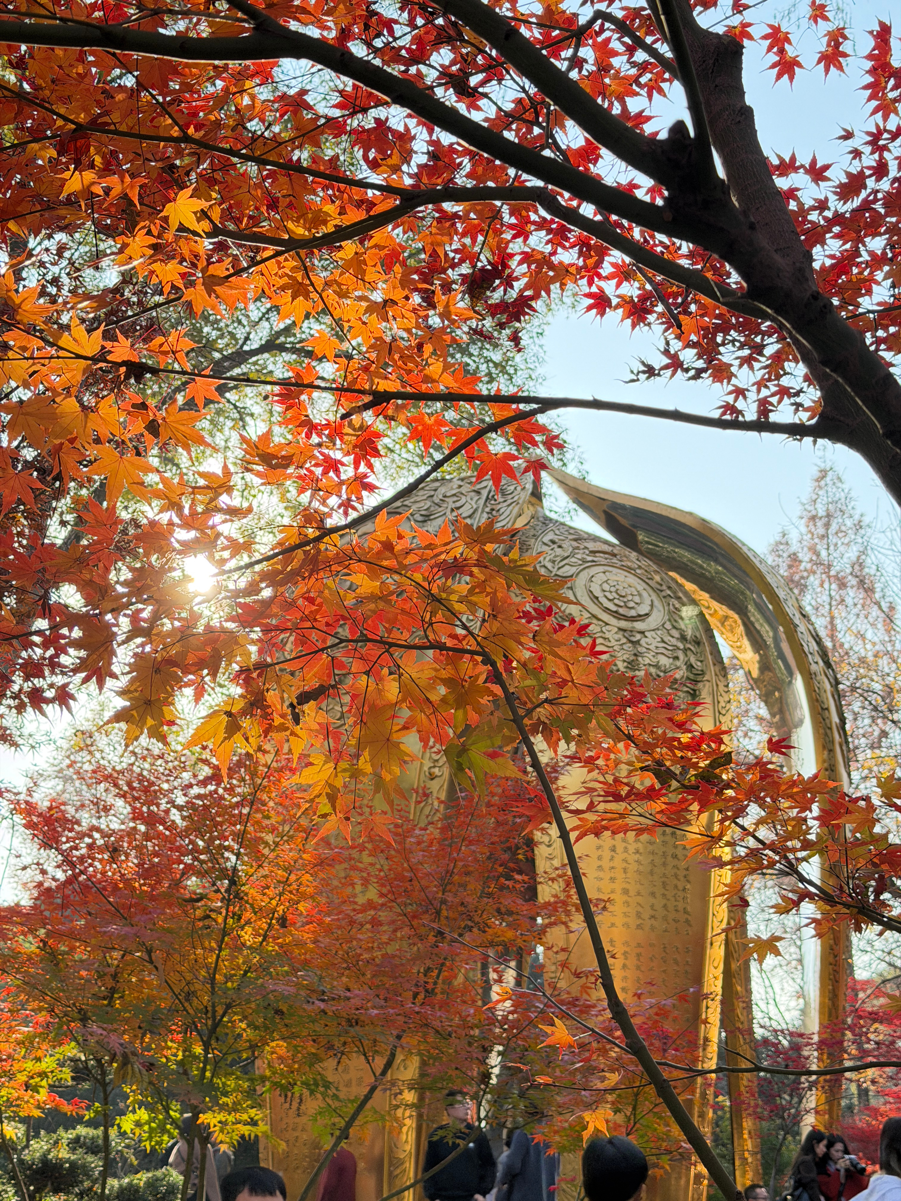 🍁枫叶红啦 好温暖的南京 一天不想呆在北方了