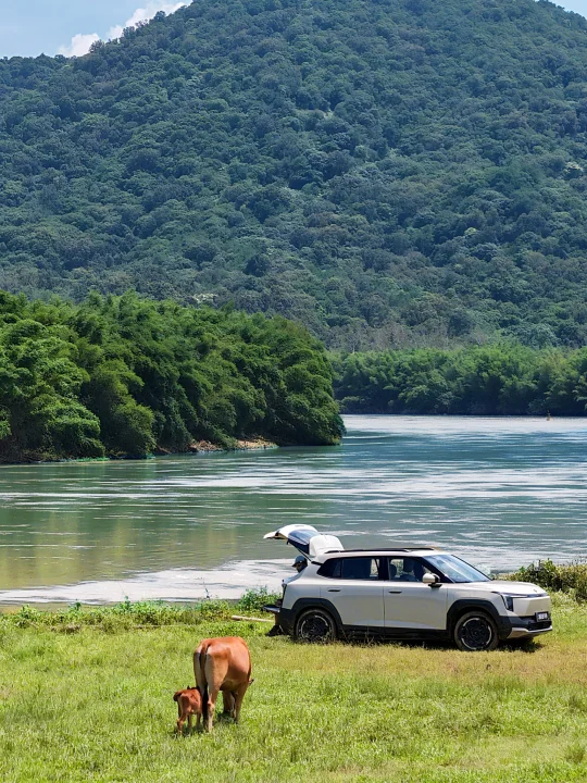 开车直达露营🚗后备箱秒变钓鱼观景台🎣