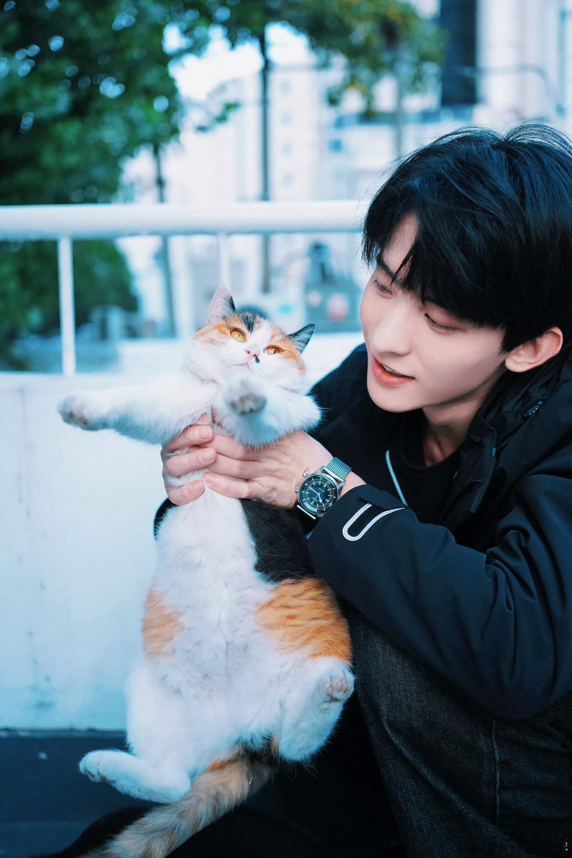 近看肥猫大，远看大肥猫。图里有两只萌物啊… 