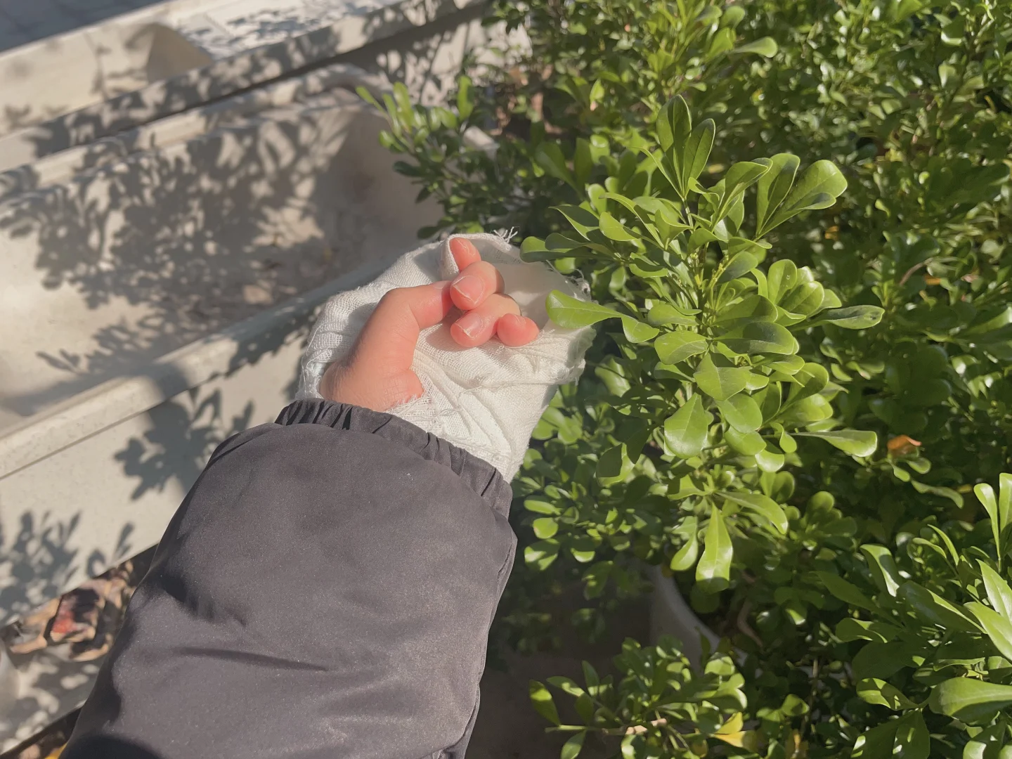 打石膏生活的第七天