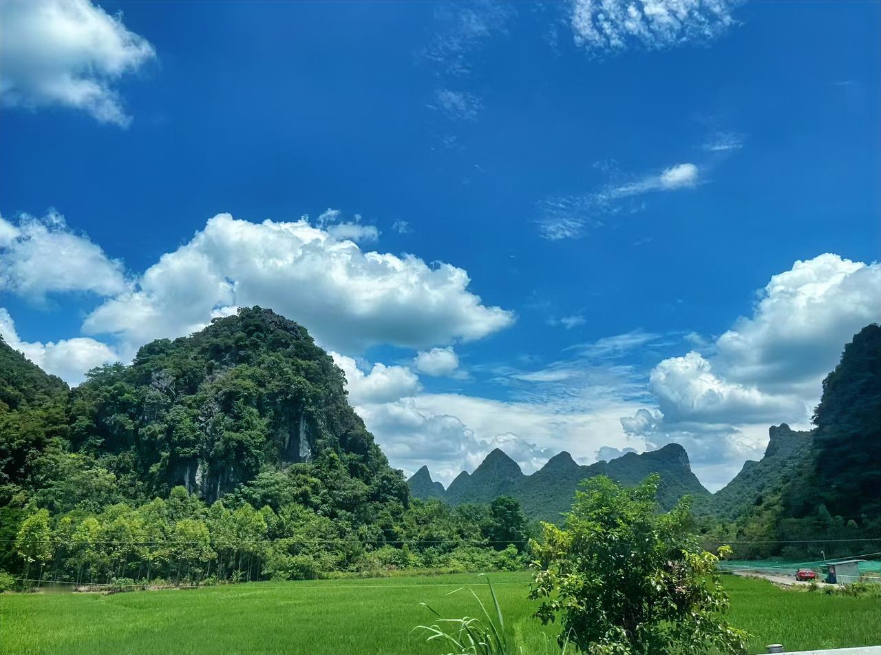 昨天学生开学第一天，发现小张老师没来，心里咯噔一下。

说实话，小张虽然只是一名