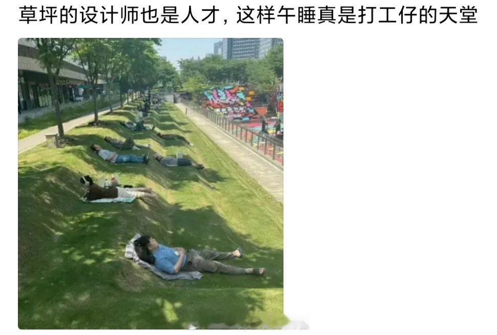 你想睡在什么样的草地上？ ​​​