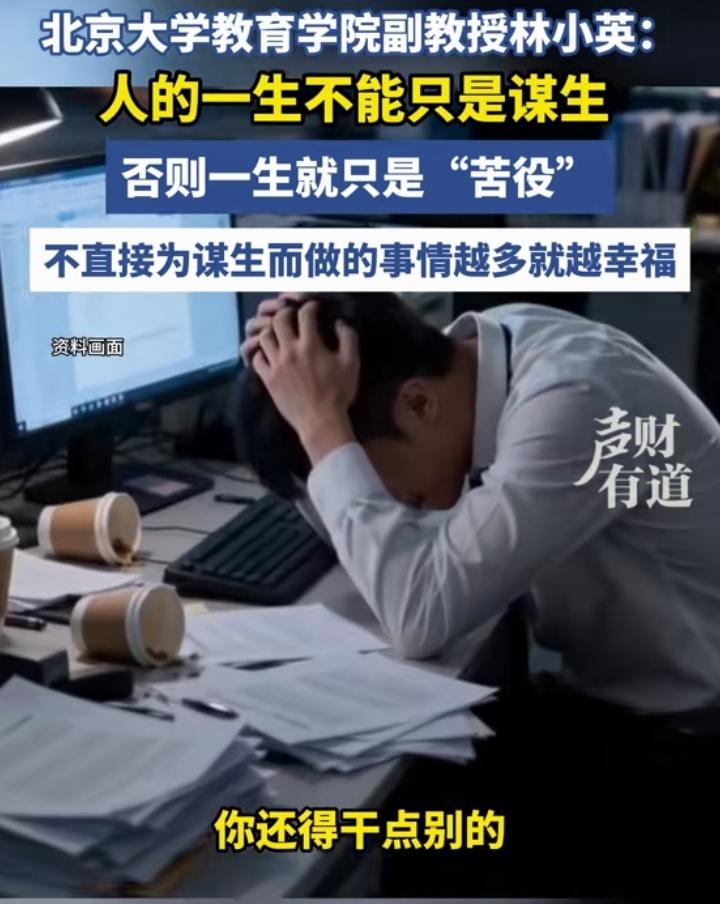 北大林副教授说：人的一生不能只是谋生，否则一生就只是苦役！没错，说的太好了，但是