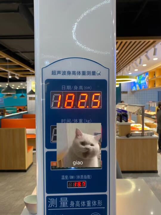 求求了 别长了