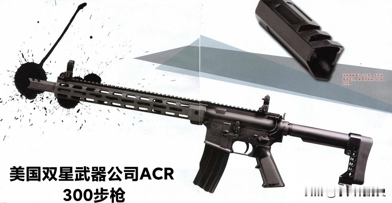 美国双星武器公司ACR300步枪
ACR 300是美国双星公司改进的战术枪械，在