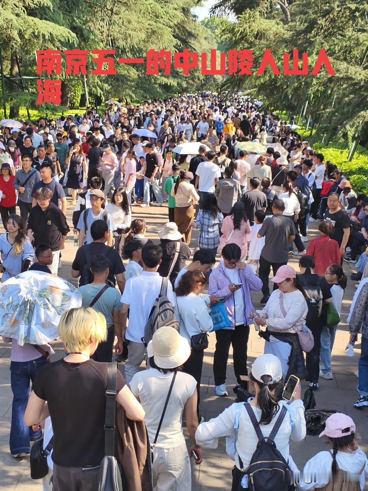 “赶紧挣够钱来南京买房吧”这是今天五一来中山陵一位游客说的
今天五一的南京中山陵