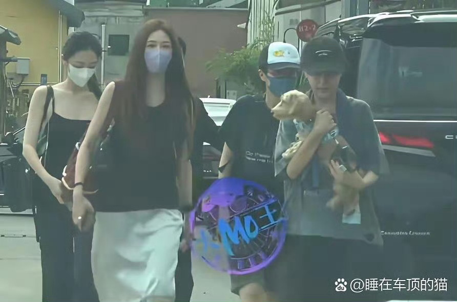 窦靖童出场的地方，宋妍霏基本都在，两人几乎形影不离。如今宋妍霏也已稳稳融进王菲的