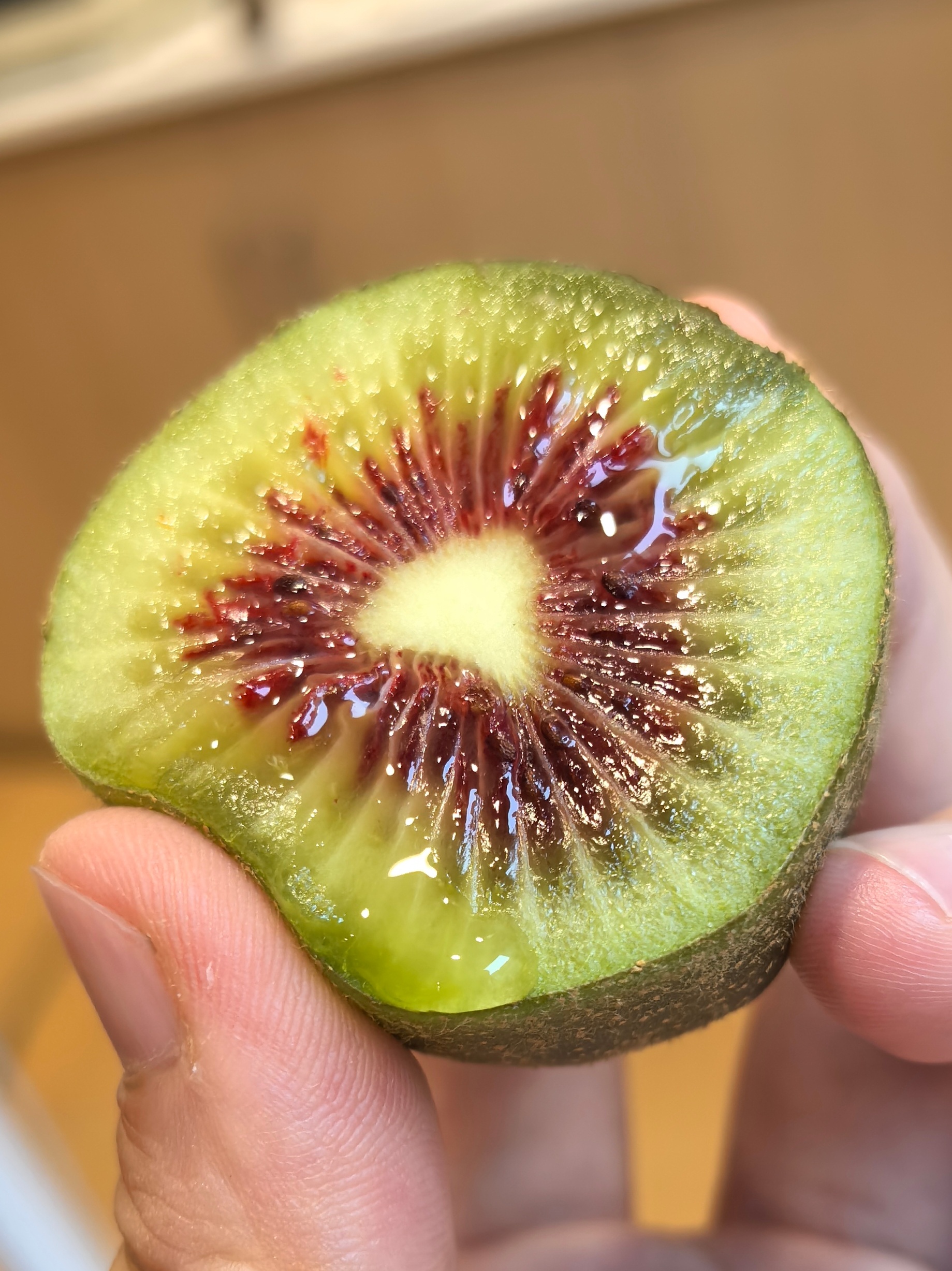 请叫我“吸妃”云南屏边半野生猕猴桃🥝到手就有能吃的，好甜哦！100g只有56卡