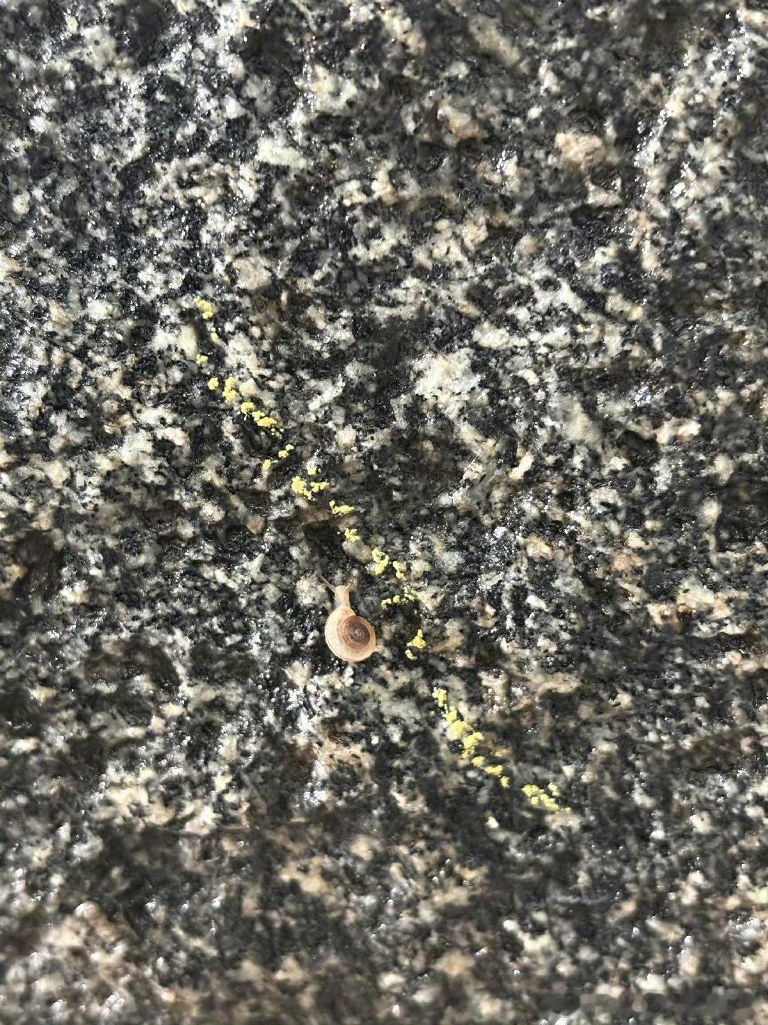 易烊千玺发蜗牛易烊千玺发了只蜗牛易烊千玺发了只蜗牛🐌好可爱啊 ​​​