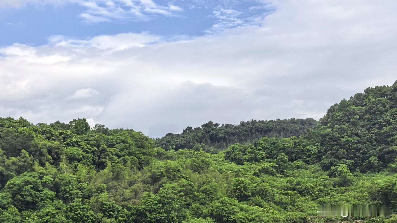 【十楼杂记】8点40，离开岳阳，去张家界。刚才，网约车司机很健谈，把岳阳的前世今