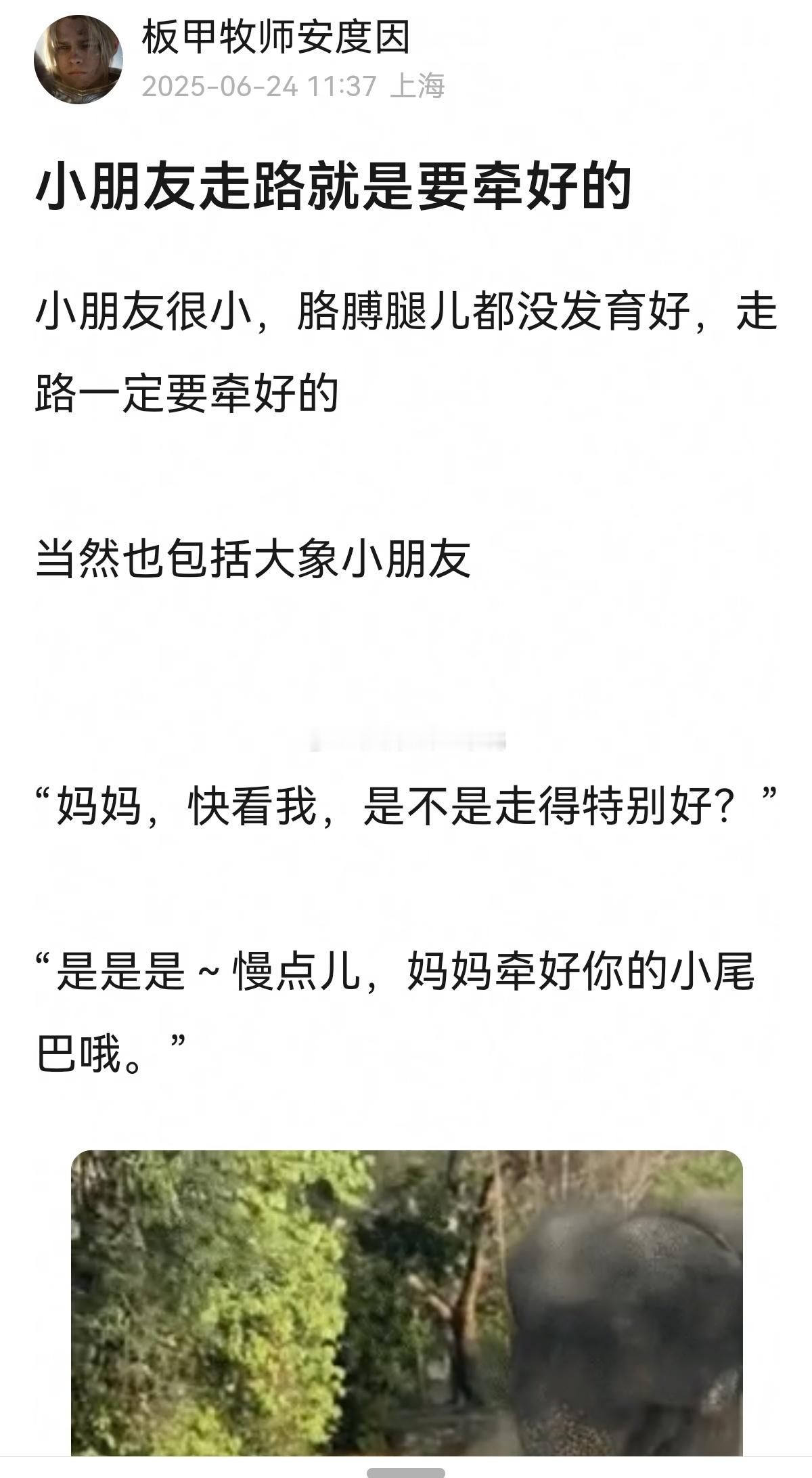 这个帖子好可爱好温馨啊，小象宝宝走路被大象妈妈牵好（牵的是尾巴~🐘🐘 ​​​