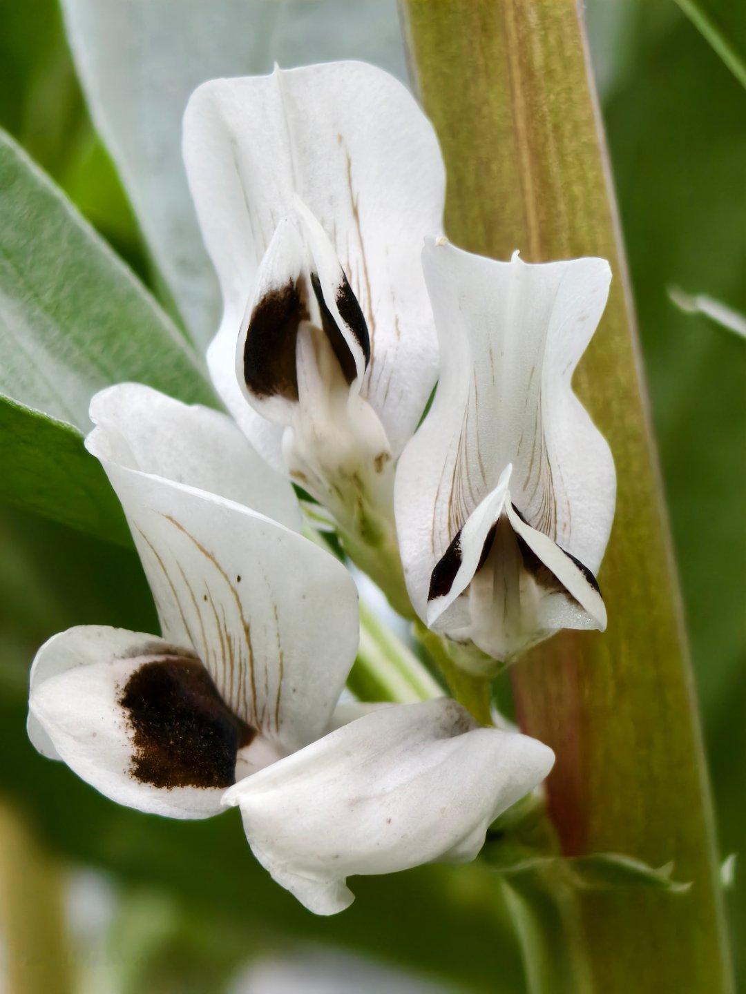 冬至后2025年还剩10天一眨眼，春遇、夏熟、秋疏、冬离，一年又这么悄无声息地溜