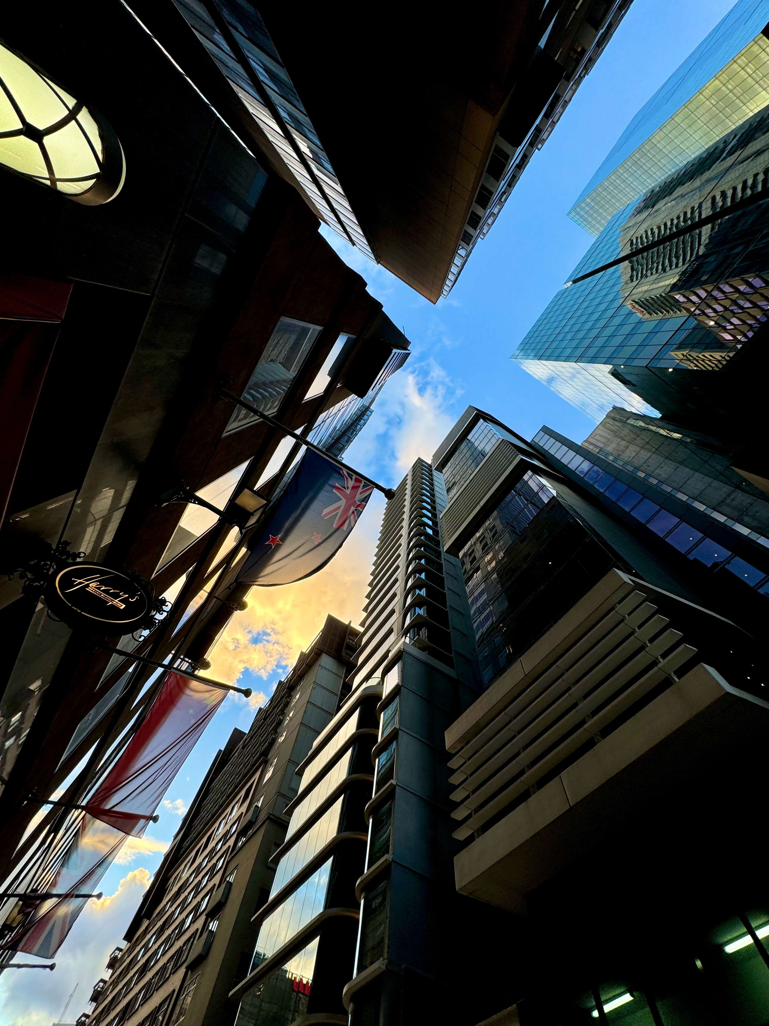 从北半球的深秋到南半球的春天，往返万里，我一连数天几乎翻遍了北京和墨尔本这两座城