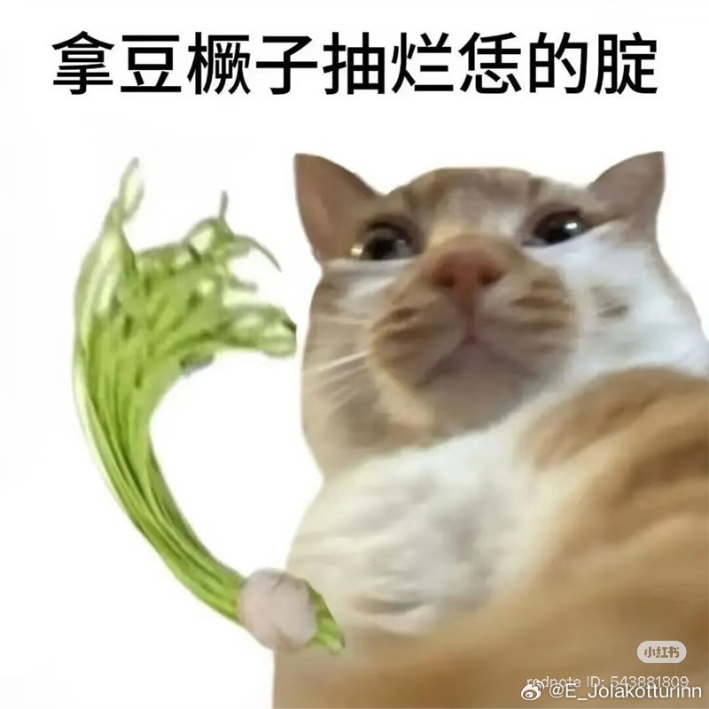 有小伙伴给我解释一下这个表情包到底是啥意思吗我猜是山东方言？ 