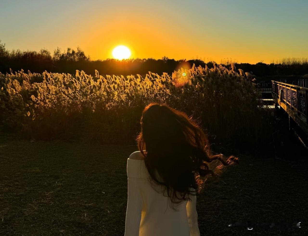 芦苇荡旧事给女生拍照时，怎样拍才能更漂亮 芦苇荡拍照胜地 辽阔的芦苇荡 芦苇荡异