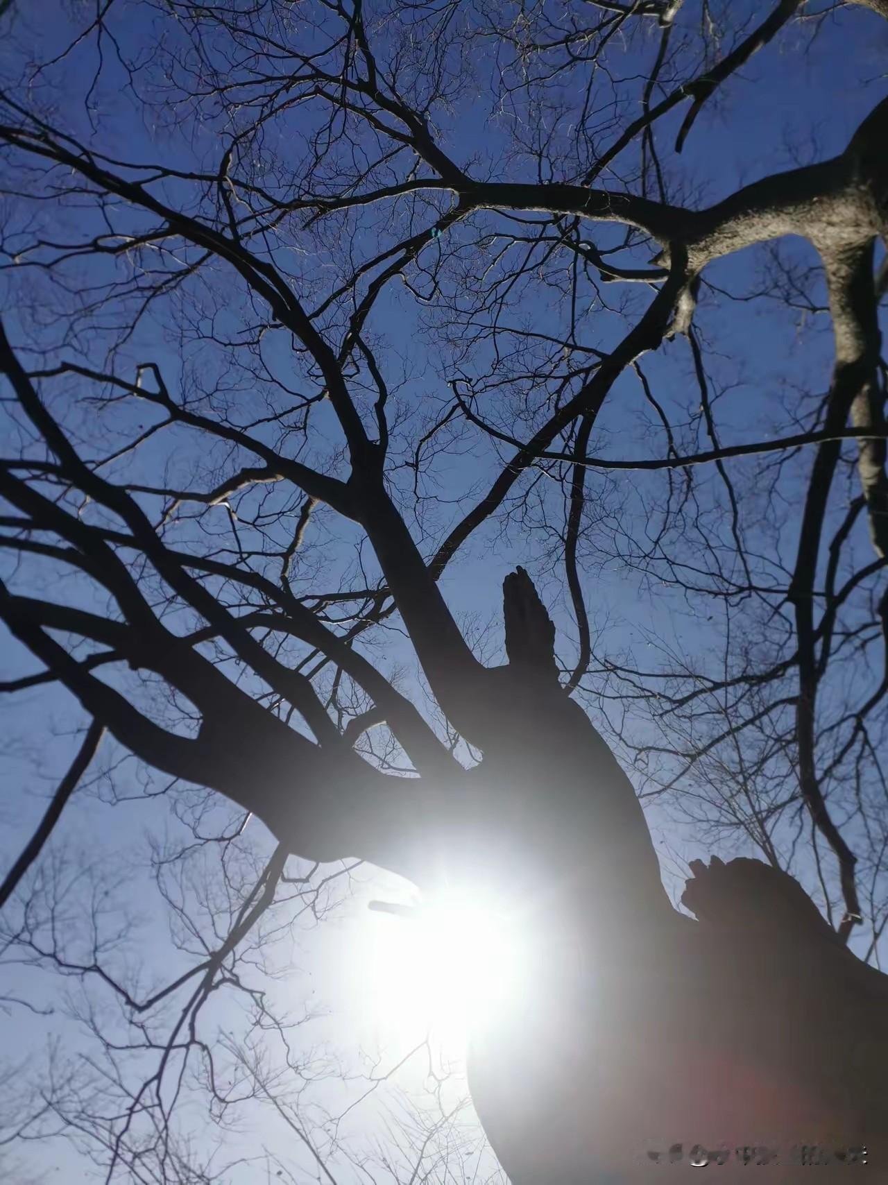 昨天儿子突然打电话，说他女朋友的爸爸心梗去世了！女孩想让我儿子一起过去奔丧。
