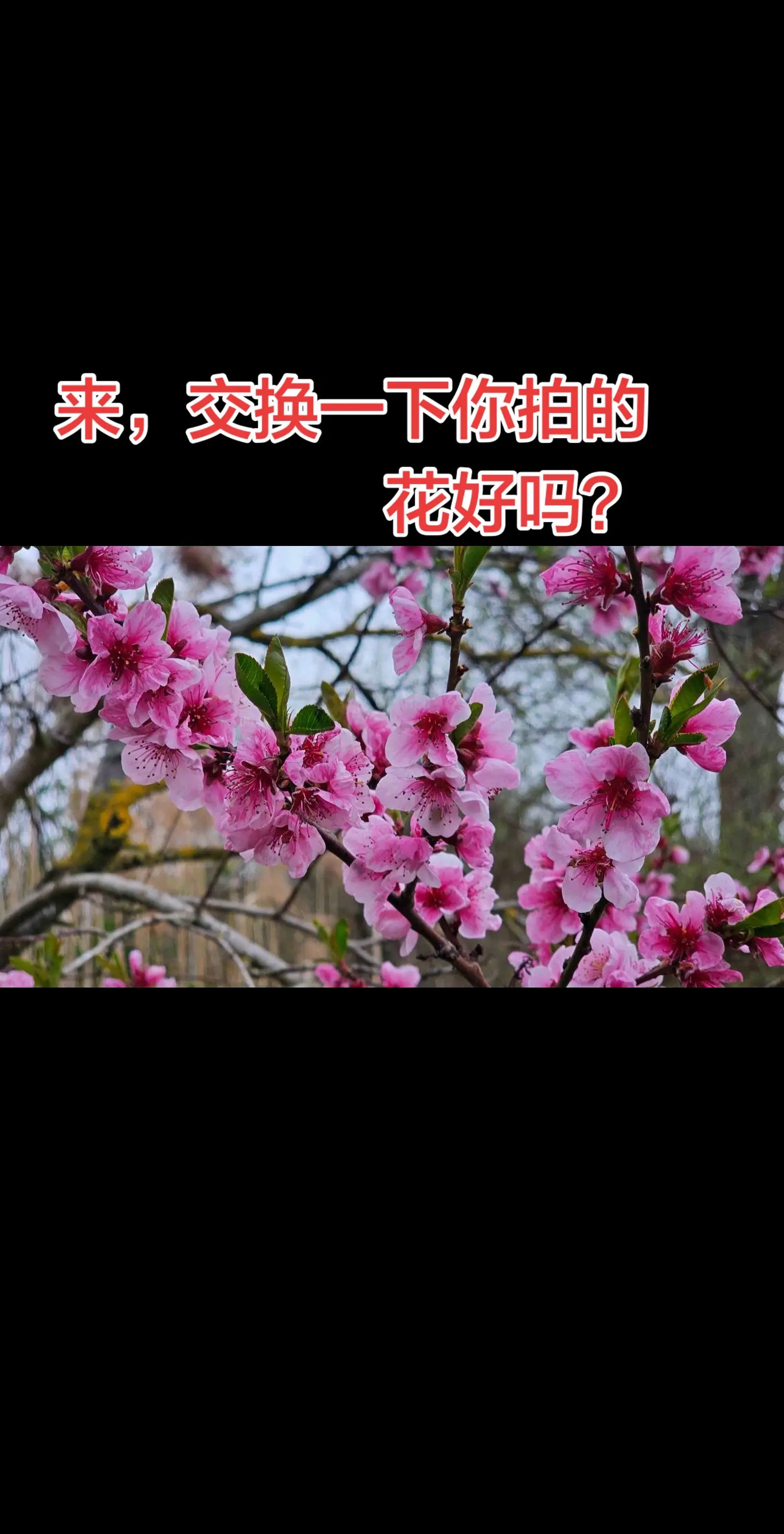 我评论了 的作品