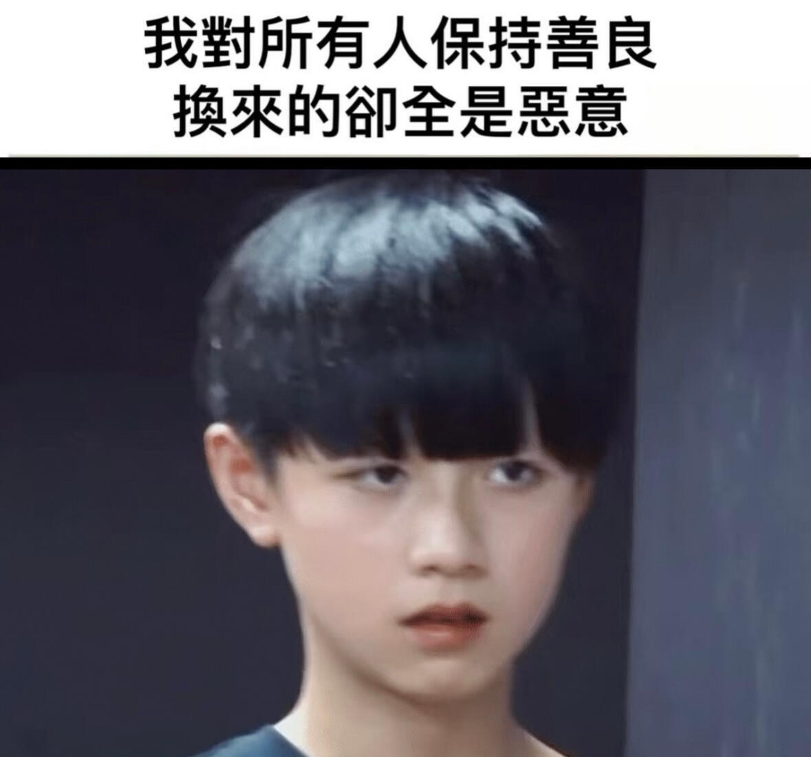 家养猫的可爱程度，家养猫的萌程度，家养猫的安抚人心程度🐱为朱志鑫守护星愿 ​​