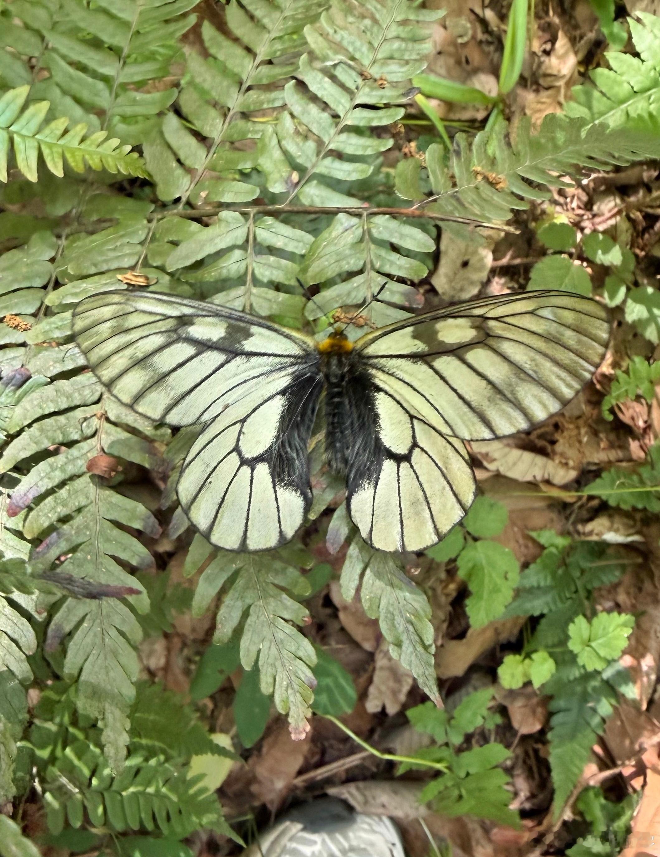 【冰清绢蝶】哈哈，今天上课居然碰到多年未见的前同事，倍感亲切。离开航天领域好多年