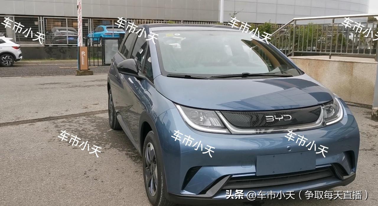 提车日记：比亚迪海豚提车

今天给广西的小伙伴提了一辆比亚迪海豚，配置是2025