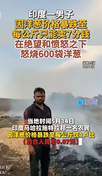 印度一位农夫，亲手点燃了家里辛辛苦苦积攒的600袋洋葱。巨大的绝望与愤怒，最终化