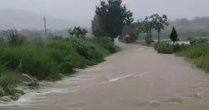 风雨12小时——直击广水防汛一线