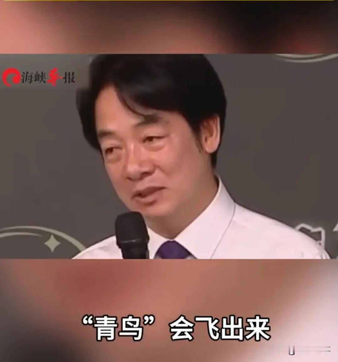 董念台以“黑鹰灭青鸟”对抗赖清德！
  “青鸟计划”是民进党的另类势力，赖清德以