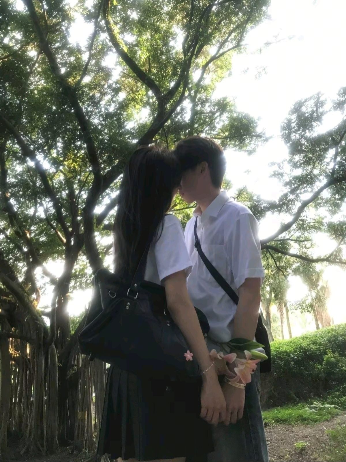 恋人怀中樱花草 听见胸膛心在跳 