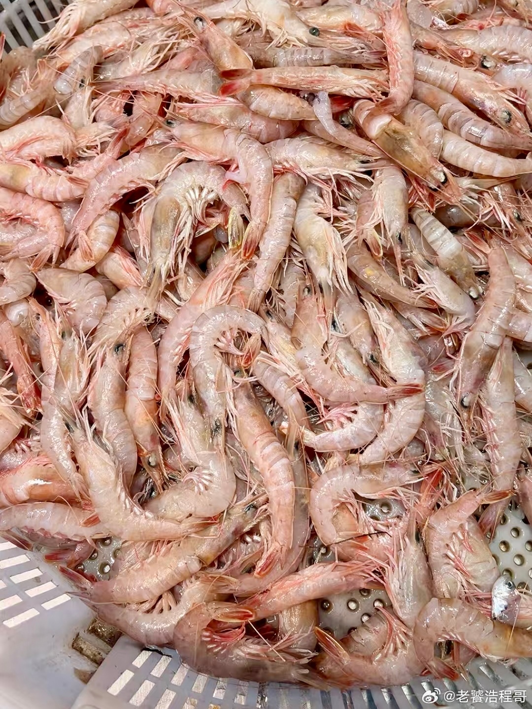 风大船都回来了，逛个市场感受一下[舔屏]青岛美食[超话]海鲜美食[超话]我的美食