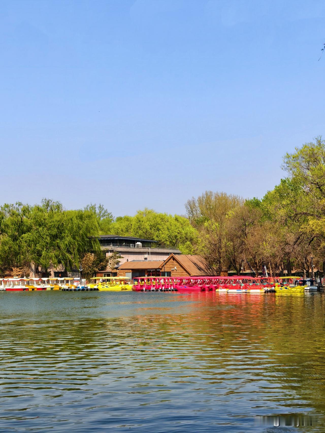 廊坊·自然公园
城市绿肺，天然氧吧。免费的4A级景区，遛娃、散步、吸氧、拍照全能