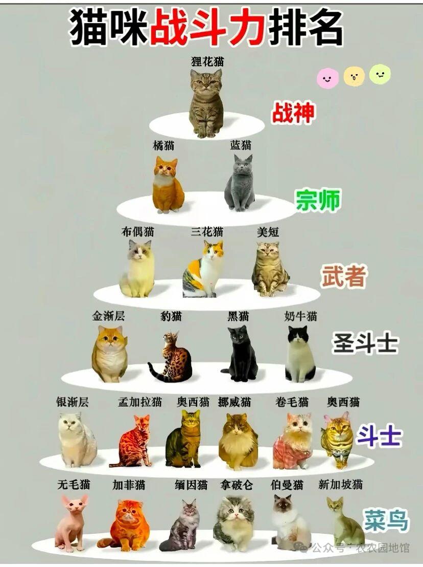 A 股交易规则将迎来大调整，总结一下对散户有何利，有何弊？

本次A股交易规则调