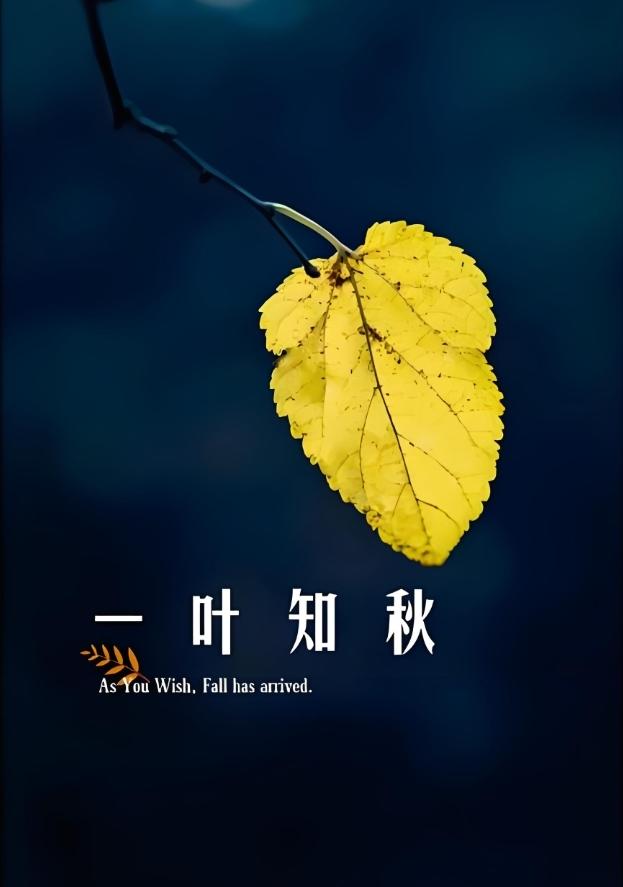 秋风秋雨秋季凉，
秋寒秋冷秋叶黄，
秋收秋割秋忙碌，
……请友续补……？

上联