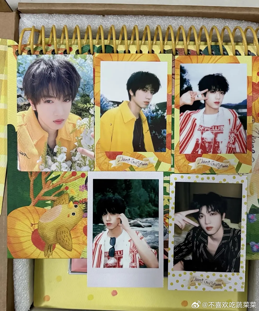 tg 张桂源小行囊卡面 