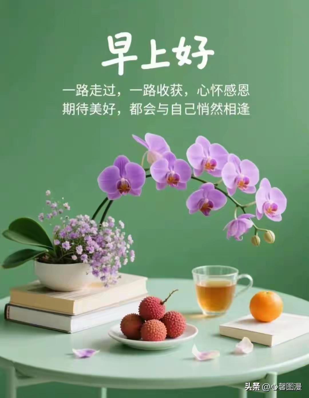 5月26日星期二早上好。清新早晨，美好相伴，心怀感恩，期待美好。