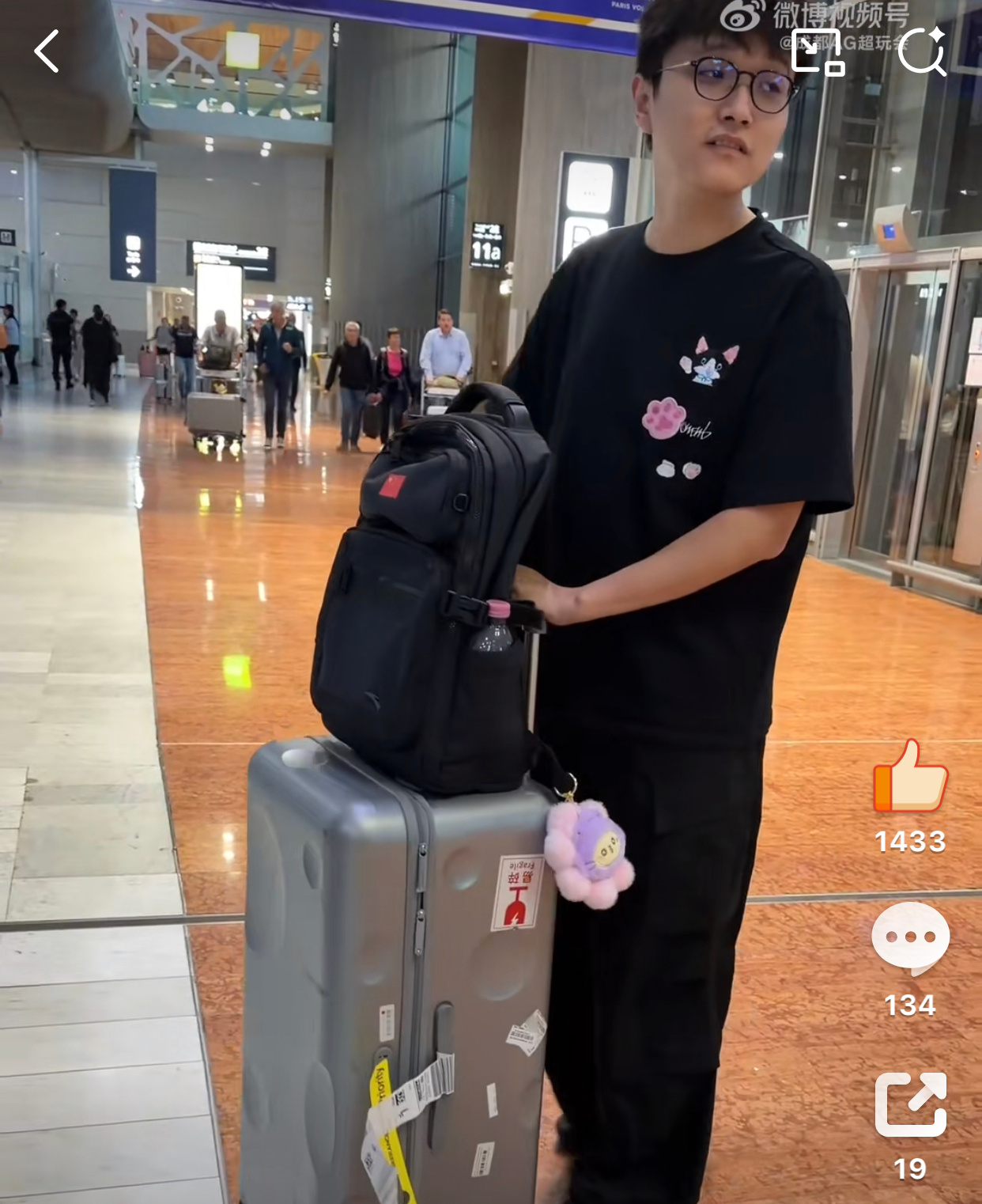 AG超玩会  猫已到 