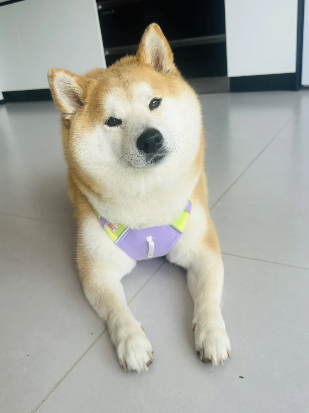 春天就要搭配亮丽的颜色
