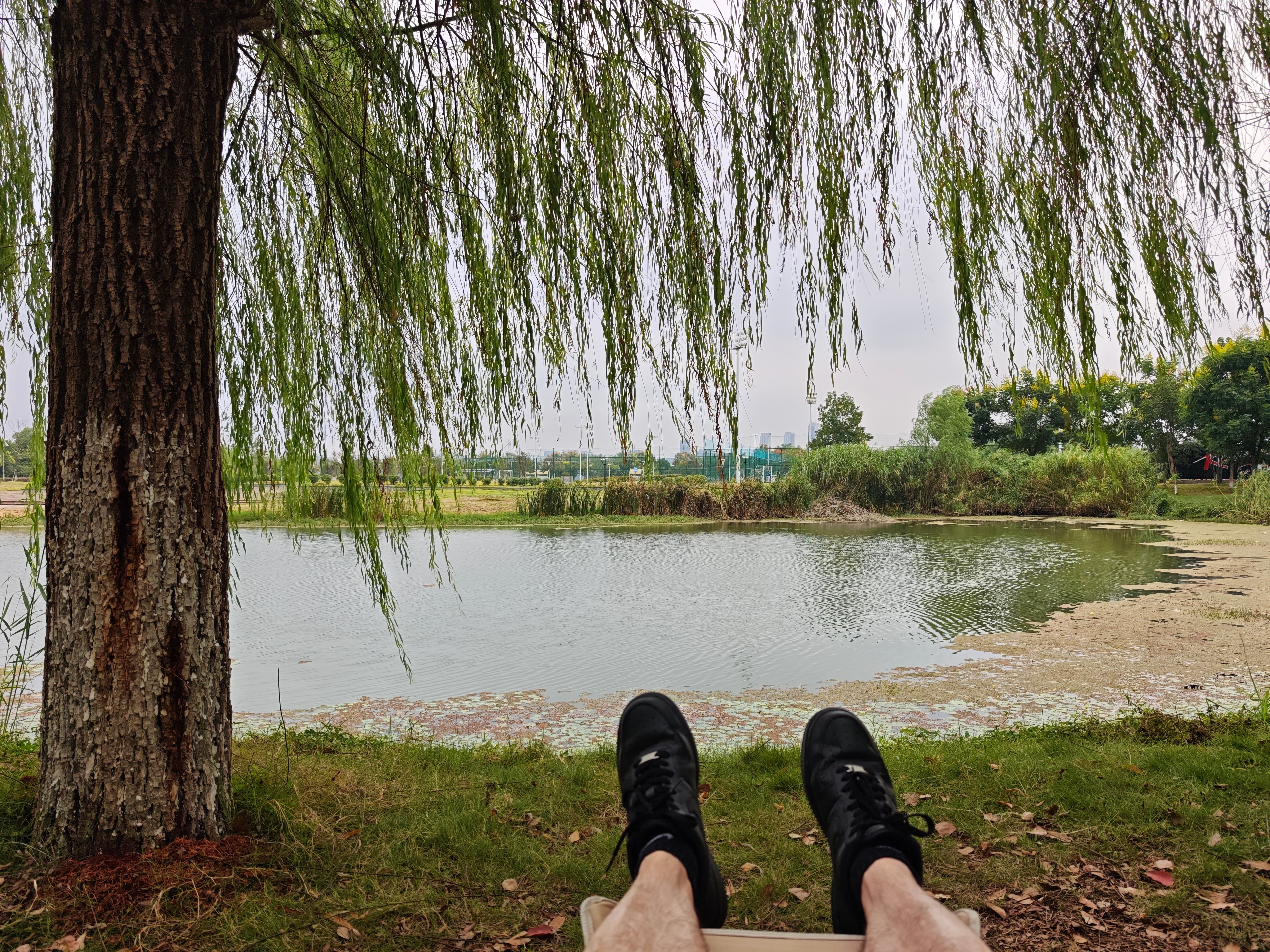 开启躺平模式！⛺一说life中秋国庆体育创作季 ​​​
