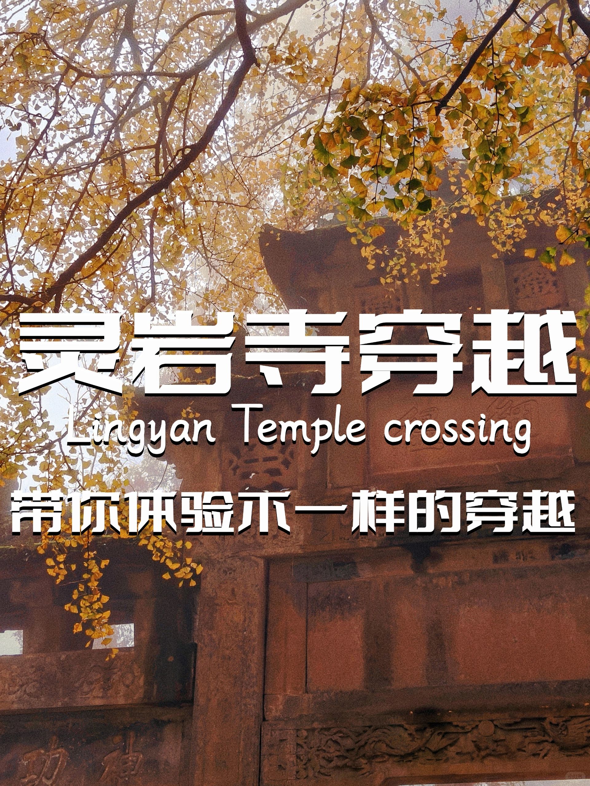 灵岩寺穿越｜赏银杏篇