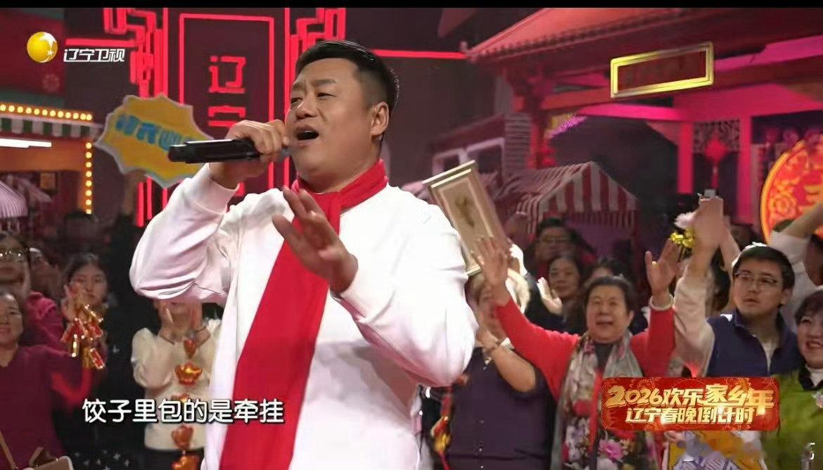 宋晓峰硬核DJ版我的东北老家辽宁春晚听完瞬间放下很多焦虑，不用追赶别人，按自己的